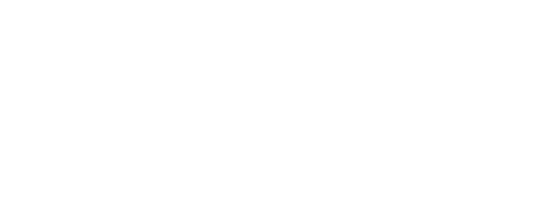 Biktrix